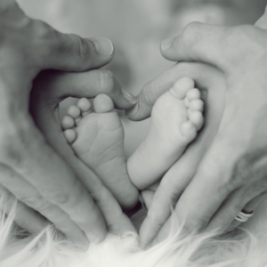Family Law – Practice and Case Law