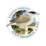 koinoniko-symvoulio-logo.webp